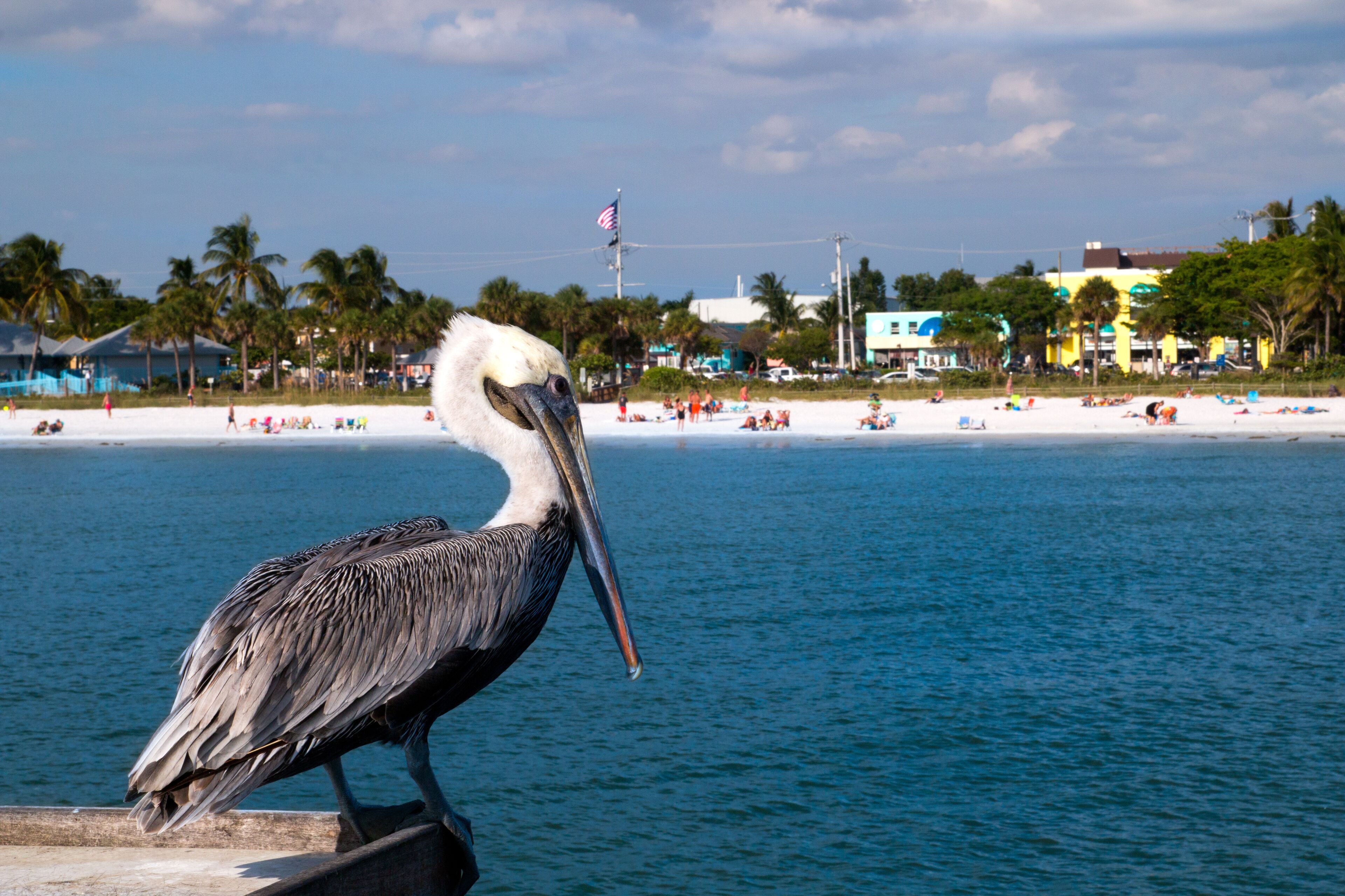 ปาล์ม ไอล์ส