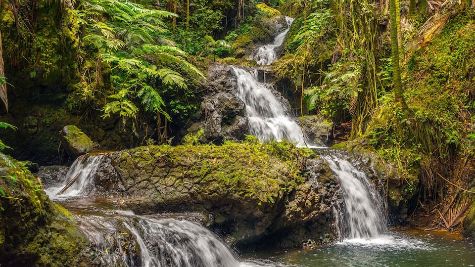 Onomea Falls
