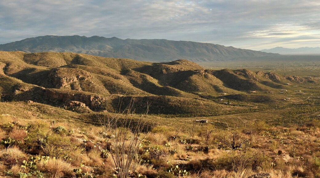 Panorama of Agua Caliente Hill, the Rincon Mountains, and Saguaro National Park in the Sonoran Desert of Tucson, Arizona.