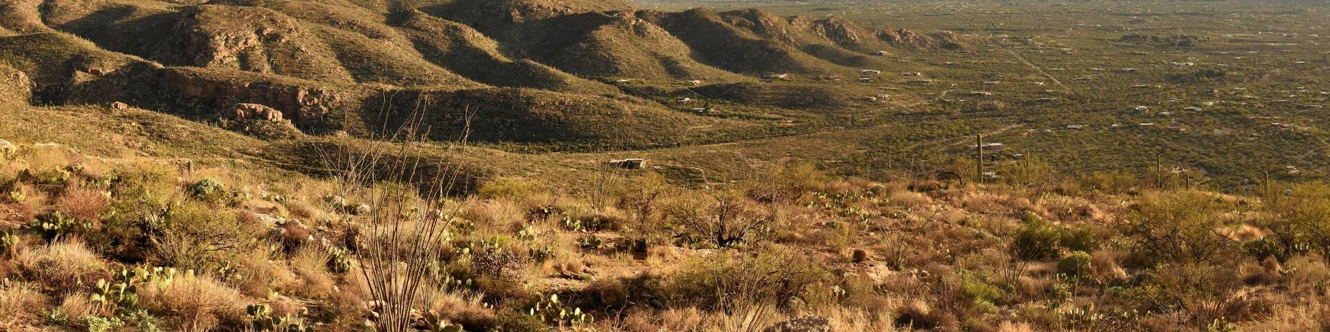 Panorama of Agua Caliente Hill, the Rincon Mountains, and Saguaro National Park in the Sonoran Desert of Tucson, Arizona.