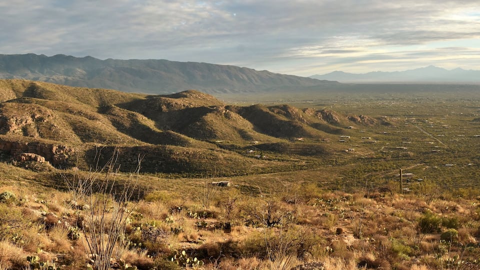 Panorama of Agua Caliente Hill, the Rincon Mountains, and Saguaro National Park in the Sonoran Desert of Tucson, Arizona.