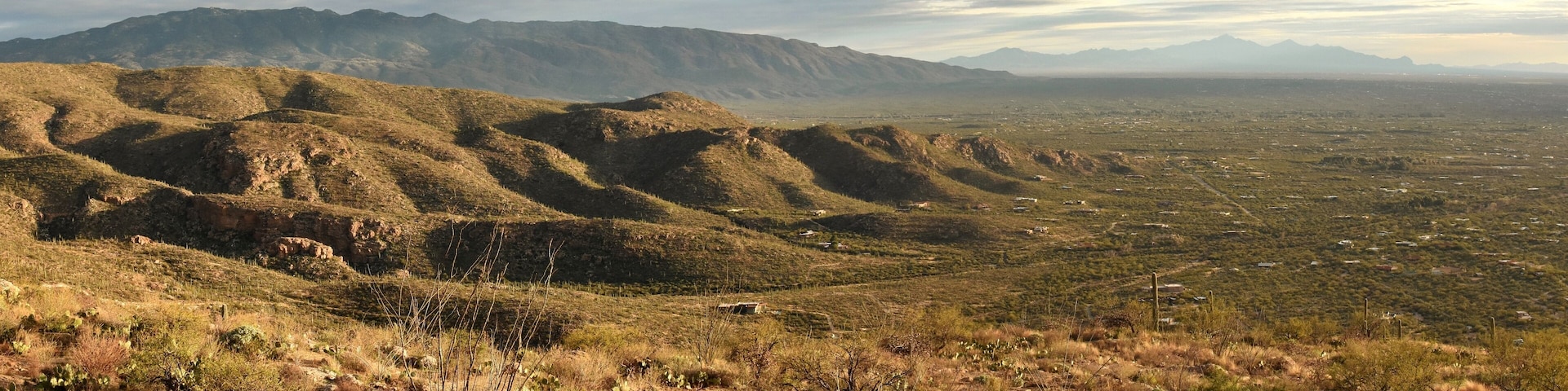 Panorama of Agua Caliente Hill, the Rincon Mountains, and Saguaro National Park in the Sonoran Desert of Tucson, Arizona.