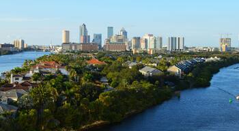 Tampa Bay FL