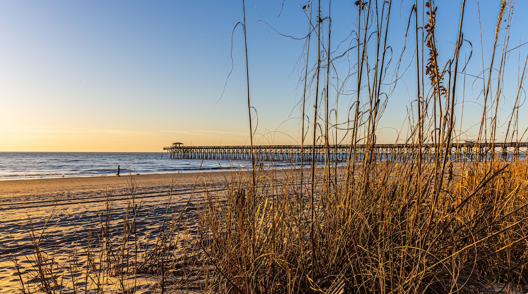 เซาท์ โอเชียนไซด์