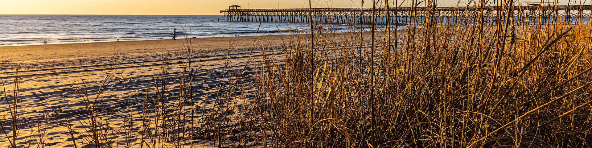 Dune Fence With Sea Oats on Second Avenue Beach, Myrtle Beach, South Carolina, USA