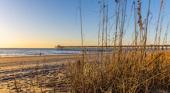 เซาท์ โอเชียนไซด์