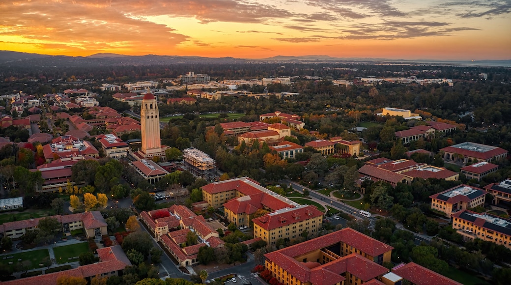 ยูนิเวอร์ซิตี้ เซาท์