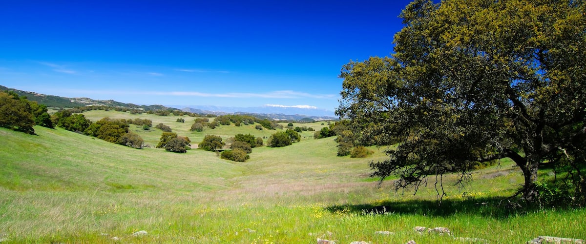 Santa Rosa Plateau in spring