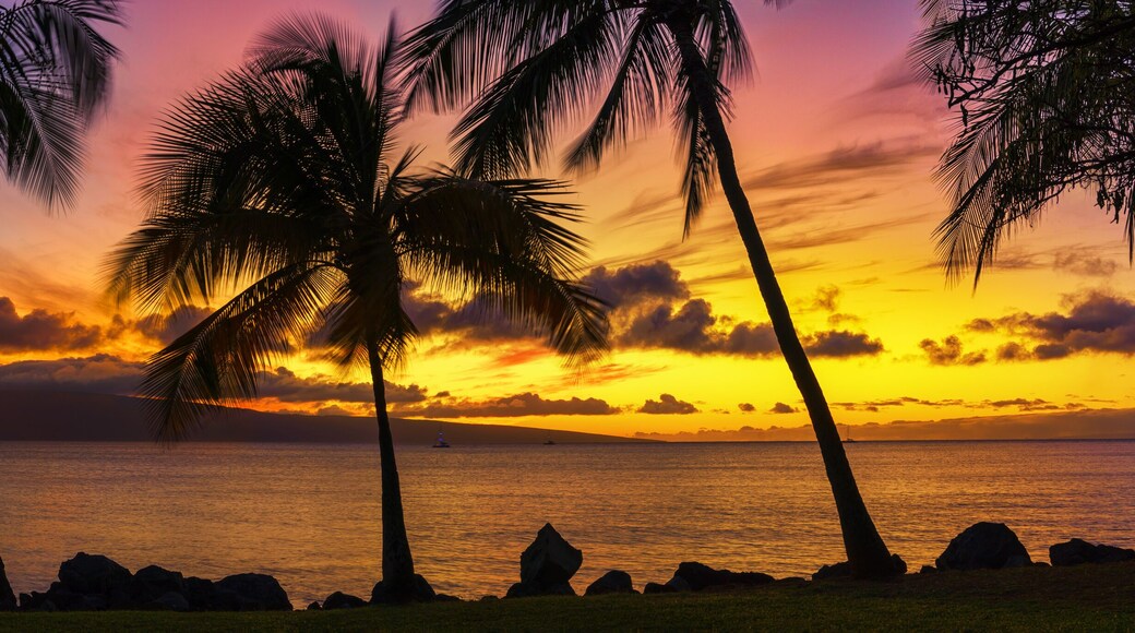 พูนา พาลิเซดส์