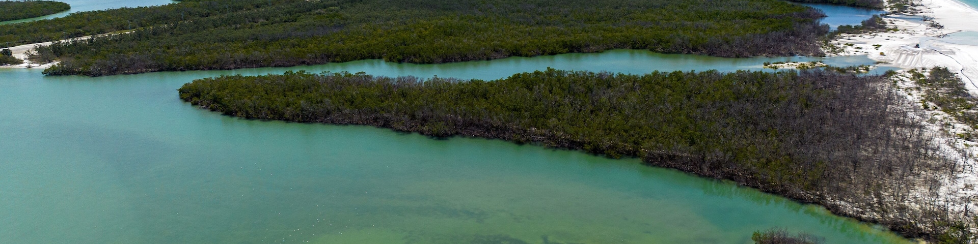 aerial view of beach