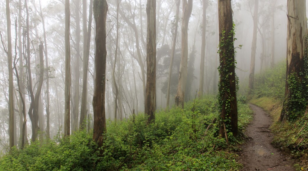 ํฌ๋ ์คํธ ๋์ฆ