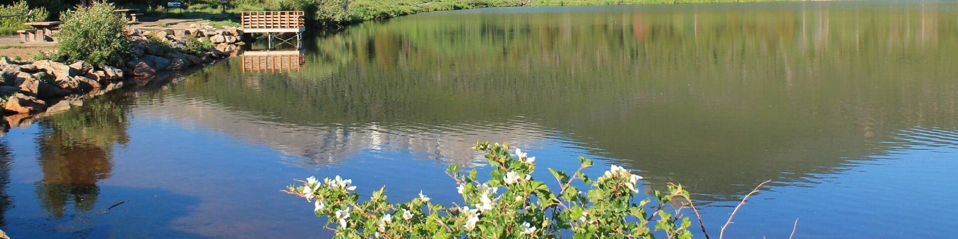 Longs Peak from Lily Lake
