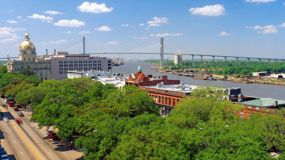 A river with a bridge, a city skyline, and green trees.