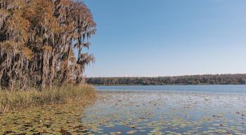 ๋ฒ ์ผ์ด์
๋น๋ฆฌ์ง