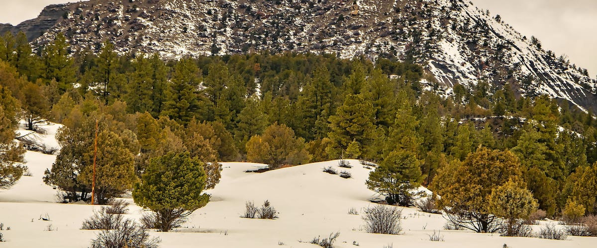 Winter At Chimney Rock