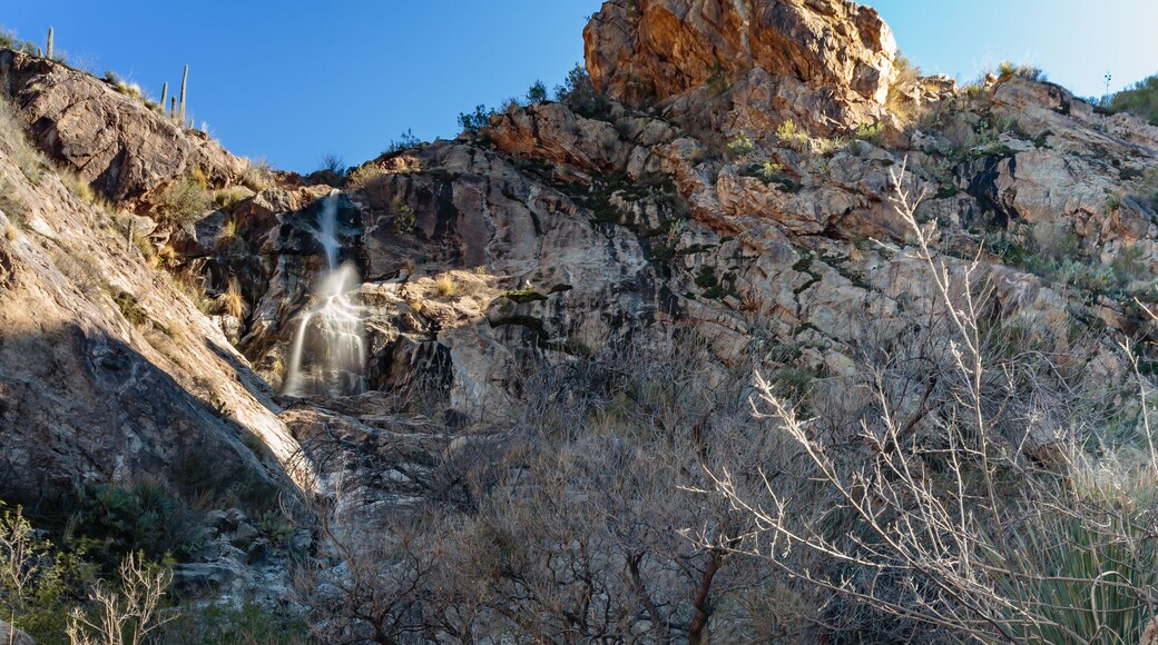 Hidden Falls in Catalina State Park near Oro Valley, Arizona.
