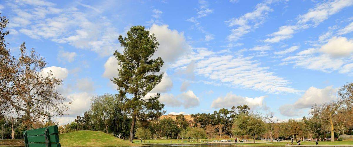 Un parque con un estanque, un banco verde y árboles.