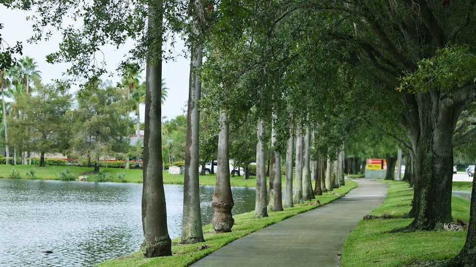 Tree Orchard in front of Sawgrass Mills Outlets Complex in Fort Lauderdale, South Florida, USA