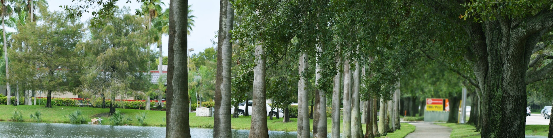 Tree Orchard in front of Sawgrass Mills Outlets Complex in Fort Lauderdale, South Florida, USA