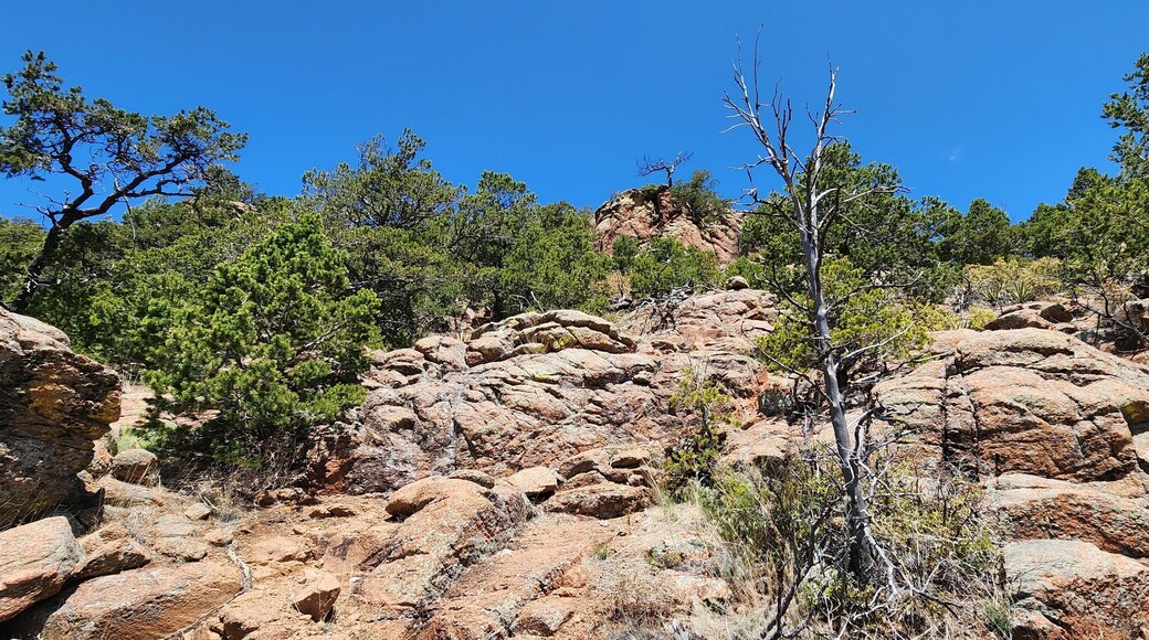 ไฮด์ พาร์ค เอสเตทส์