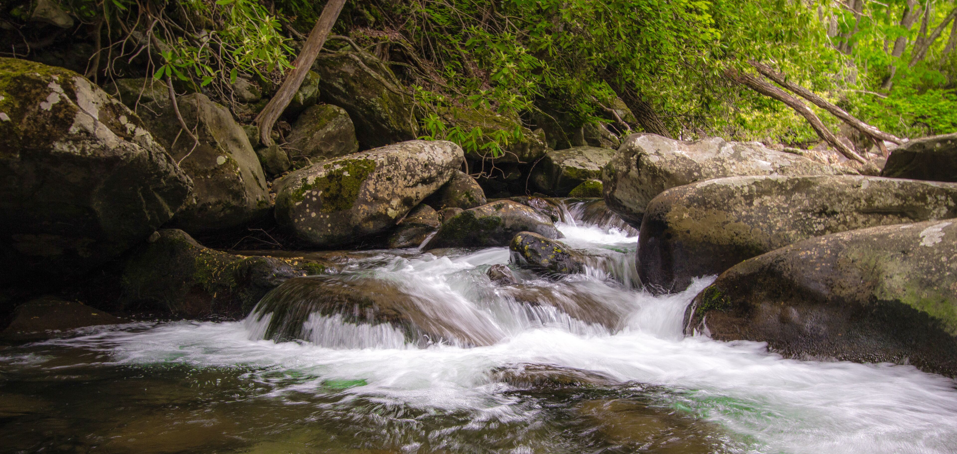 Waterfall Panorama. Great Smoky Mountain National Park waterfall in panoramic orientation. 