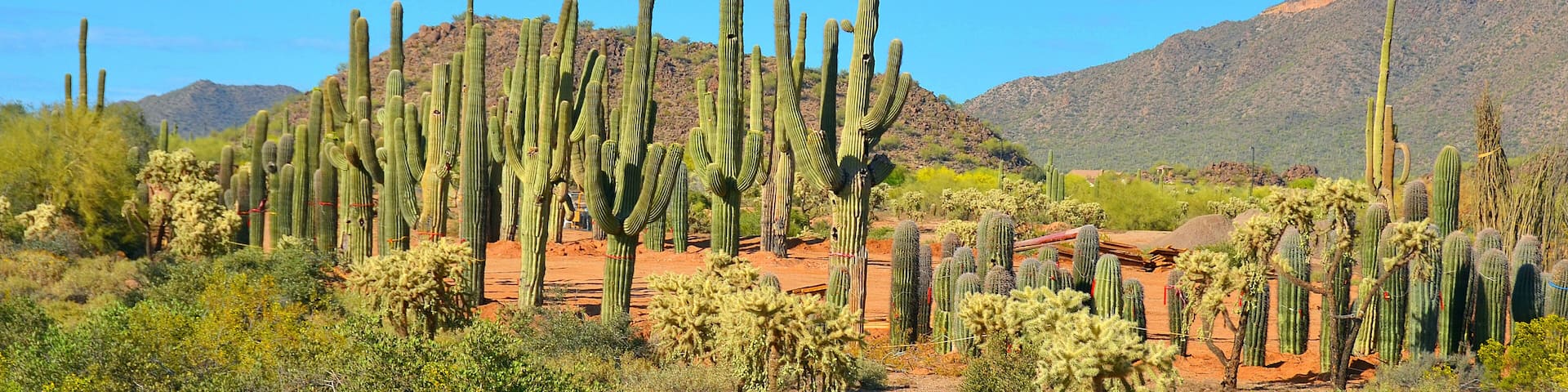 Tonto National Monument is a National Monument in the Superstition Mountains, in Gila County of central Arizona. The area lies on the northeastern edge of the Sonoran Desert ecoregion, an arid habitat