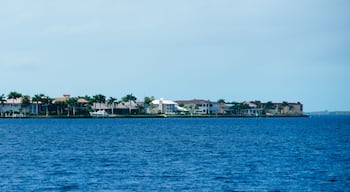 South Gulf Cove