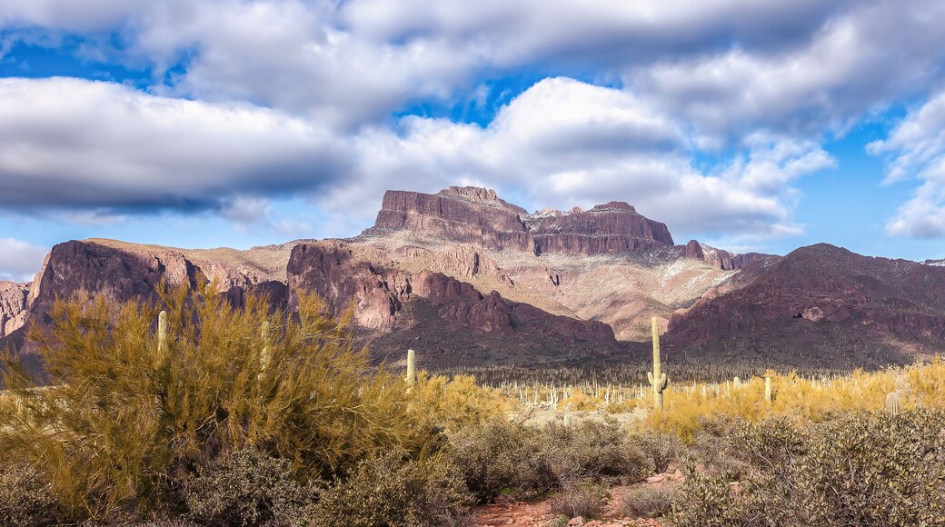 Arizona landscape cactus saguaro mountains travel trails