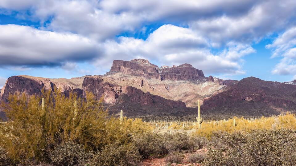 Arizona landscape cactus saguaro mountains travel trails