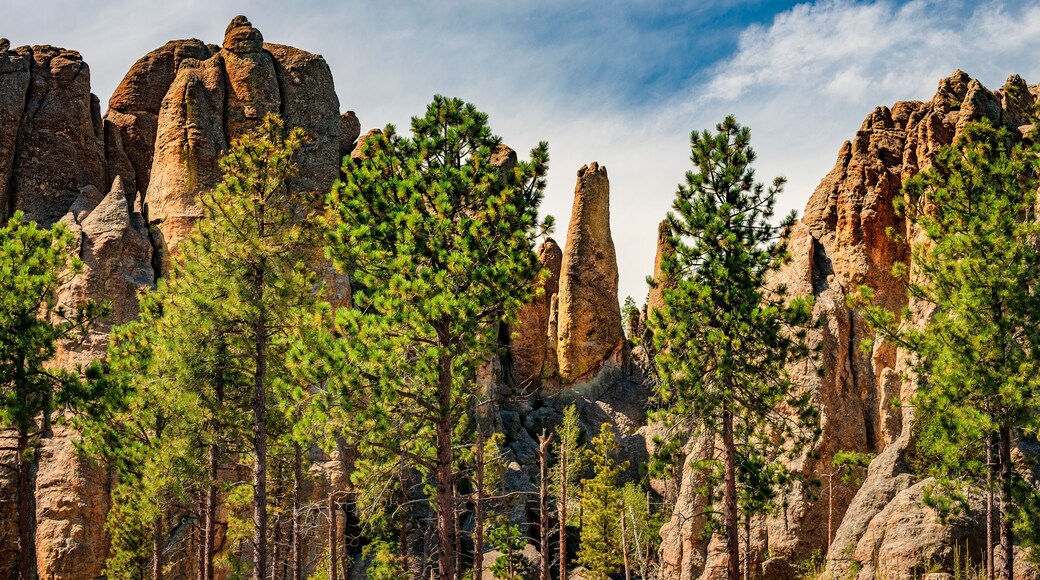 Jagged rock peaks and ponderosa pine forests in the Black Hills of South Dakota