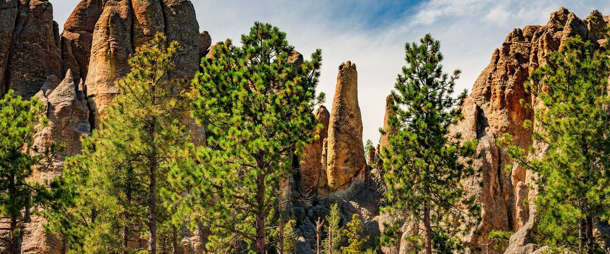 Jagged rock peaks and ponderosa pine forests in the Black Hills of South Dakota