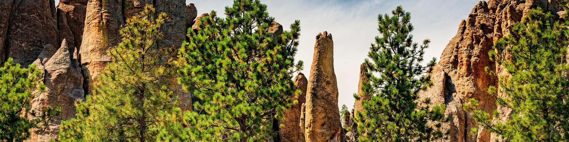 Jagged rock peaks and ponderosa pine forests in the Black Hills of South Dakota