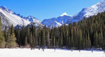 แบร์ ครอสซิ่ง