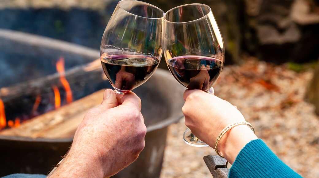 USA, Washington State, Woodinville. A man and a woman enjoy a glass of red wine in front of a campfire.