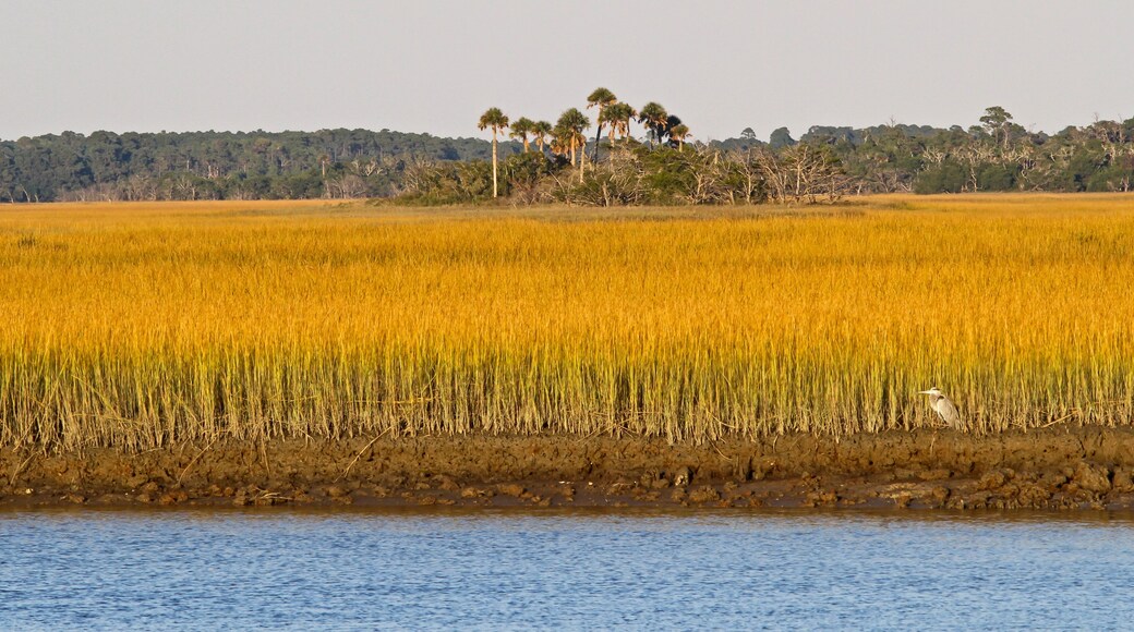 ์จ์คํธ ๋น์น