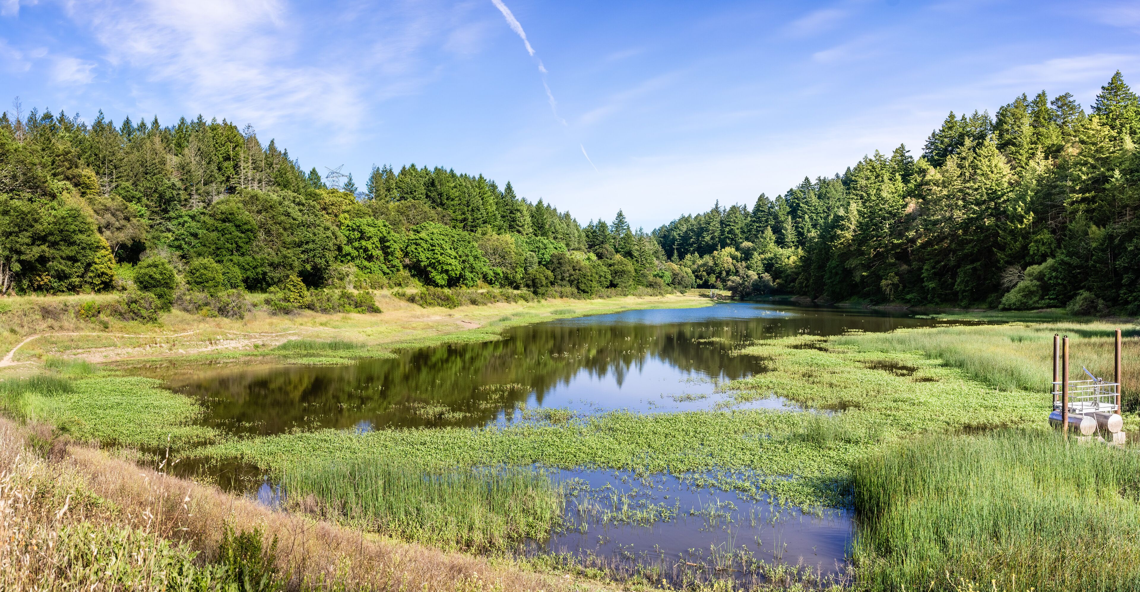 Lake Ranch Reservoir surrounded by the evergreen forests of Santa Cruz Mountains, the oldest reservoir owned and operated by San Jose Water; Sanborn County Park, California