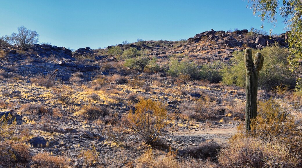 เอเตรลลา พาร์ค