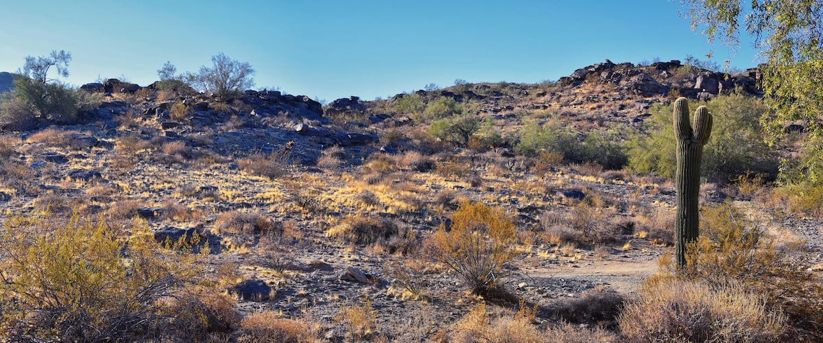 South Mountain Park and Preserve, Pima Canyon Hiking Trail, Phoenix, Southern Arizona desert. United States.
