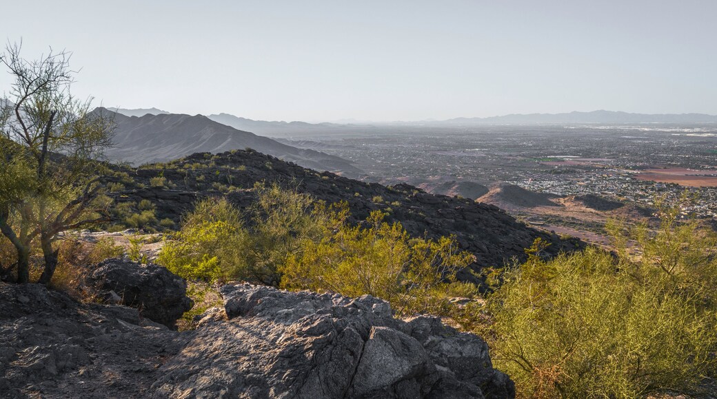 เอเตรลลา พาร์ค