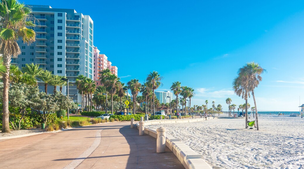 Clearwater beach with beautiful white sand in Florida USA