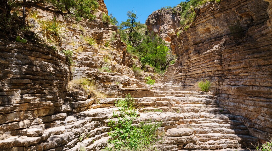 Guadalupe Mountains National Park