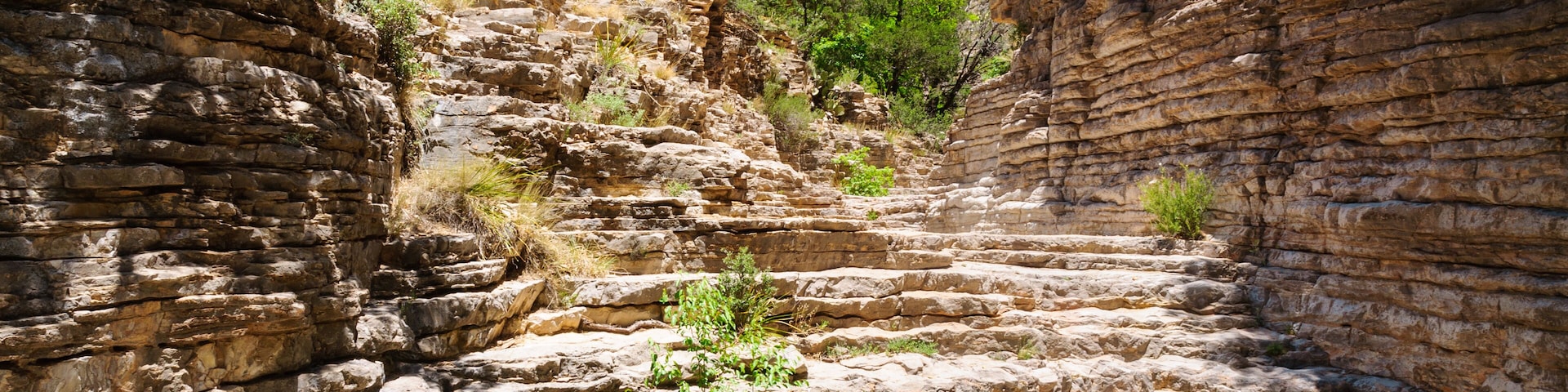 Guadalupe Mountains National Park
