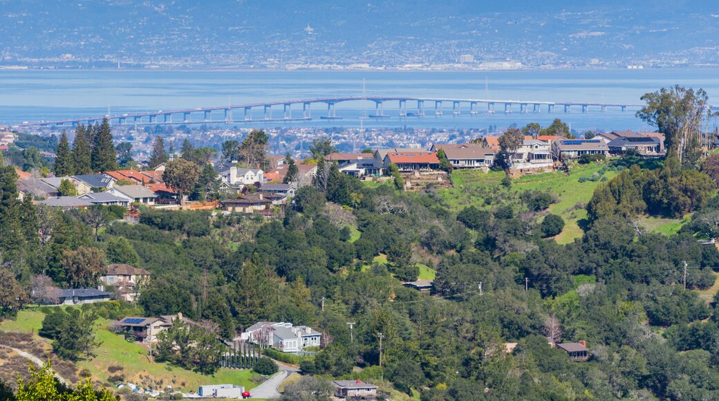 Residential neighborhood on the hills of San Francisco peninsula, Silicon Valley, San Mateo bridge in the background, California