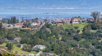 Residential neighborhood on the hills of San Francisco peninsula, Silicon Valley, San Mateo bridge in the background, California