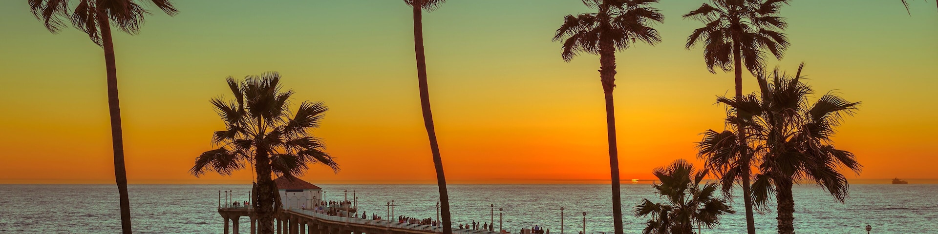 Palm trees at Manhattan Beach at sunset. Fashion travel and tropical beach concept.