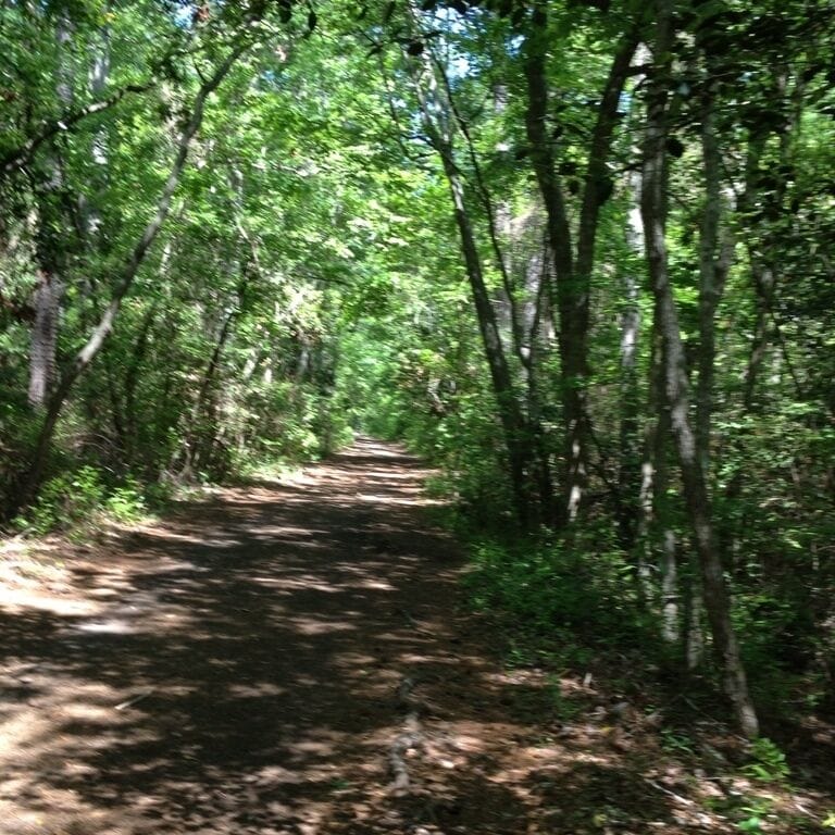 The bike trail at seashore state park. 