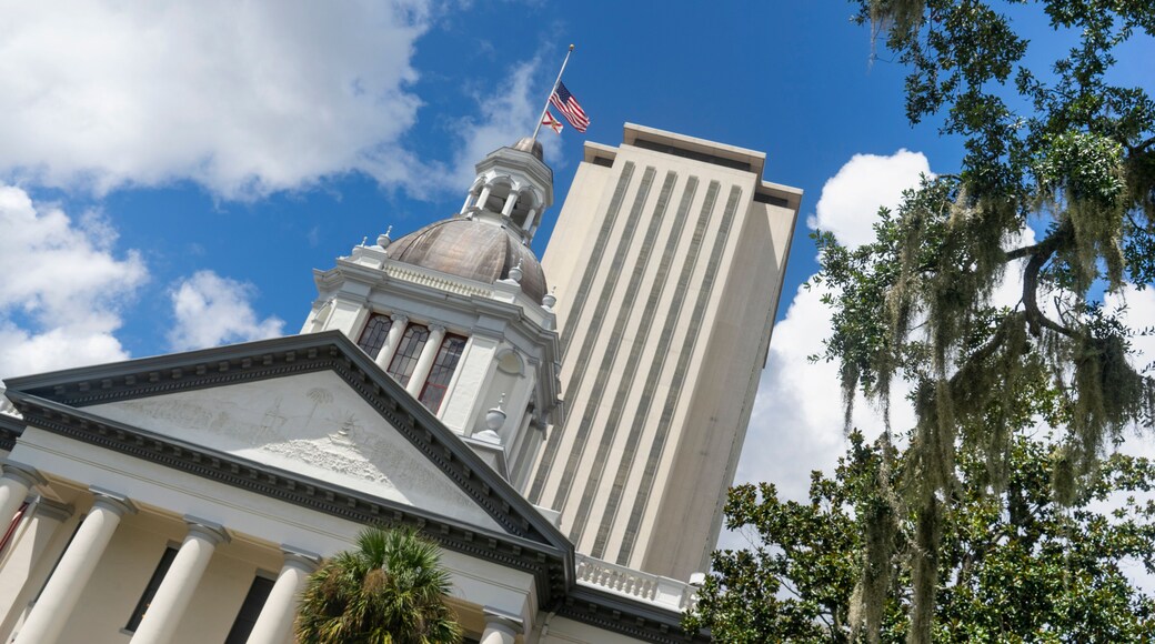 Altstadt Tallahassee