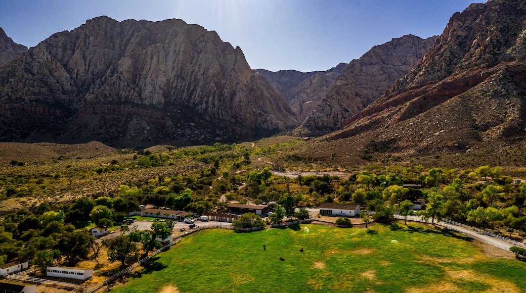 Beautiful view of famous Spring Mountain Ranch State Park near Las Vegas and Red Rock Canyon, Nevada during autumn with pink and red rock mountains, blue sky, green trees and grass, and purple hills