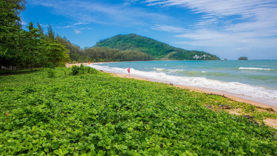 Coastal sea waves with blue sky