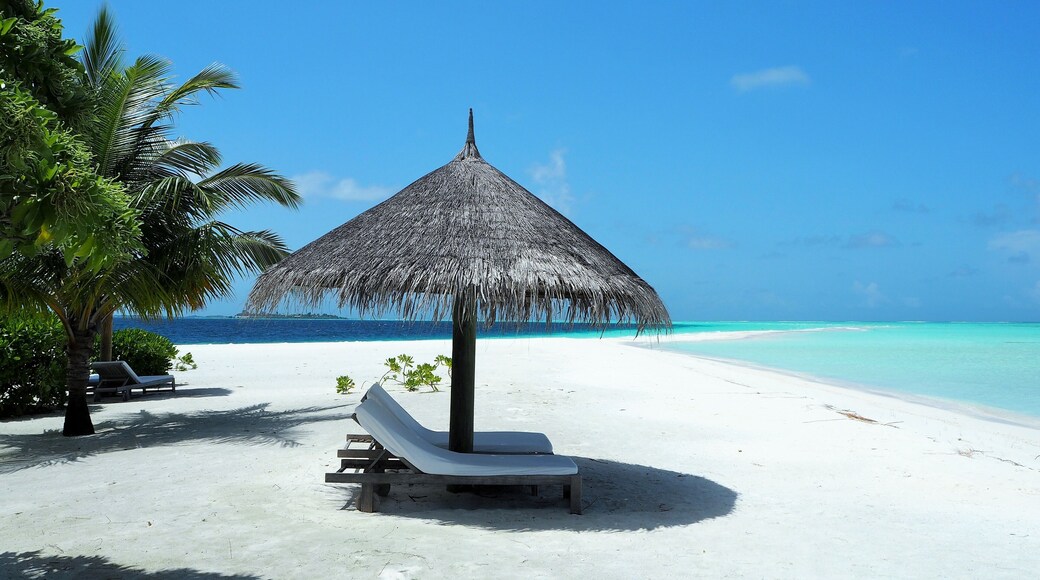 the beach in Maldives